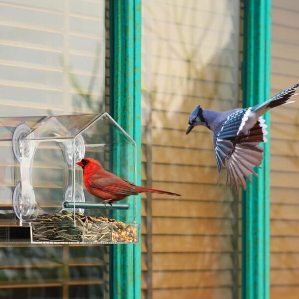 Bird Feeders, Window Bird Feeder Comes With 4 Strong Suction Cups And Removable Seed Tray, Squirrel Proof Bird Feeders, Acrylic Clear Bird Feeder Is A Garden Gift For Older Grandparents - Image 4