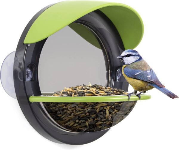 My Living World LW105 Window Bird Feeder, Multicolor - Image 5