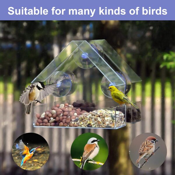 2 Pack Window Bird Feeder, Bird House for Outside with Strong Suction Cups, Acrylic Bird Feeder House for Outdoor for Feeding Small Birds, Small Wall Mounted Bird Feeders for Birds Only - Image 5