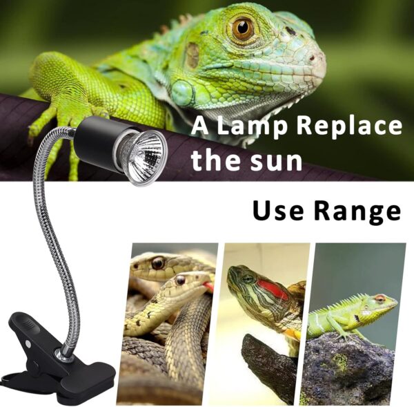 AIICIOO Reptile Heating Light Bulb UVA UVB Full Spectrum Sun Lamp Halogen Turtle Heating Lamp Adjustable Light for Lizard Tortoise Spider Snake 50W 4 Pack E27 - Image 7