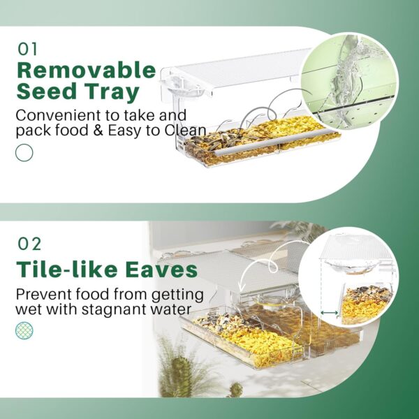 WELDUN Window Bird Feeders for Small Birds with 2 dividers, Clear Bird Feeder Bird House Outside Wild Bird Watching for Garden, Yard, Elderly Kids Viewing - Image 4