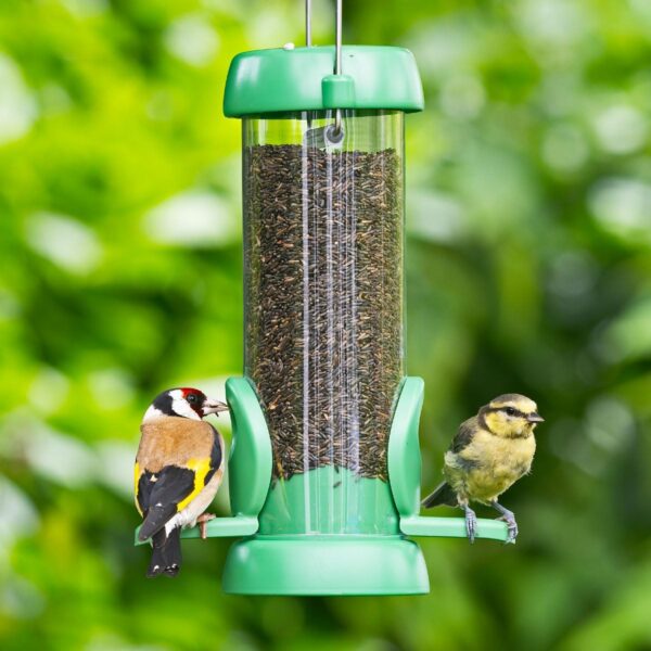 Bird Feeders For Small Birds - Jacobi Jayne® Bird Lovers™ Small Niger Seed Bird Feeder - Hanging Bird Feeder For Niger Seed - 0.5 Litre Capacity. Easy Clean Feeder With Quick Release Perches And Base - Image 5