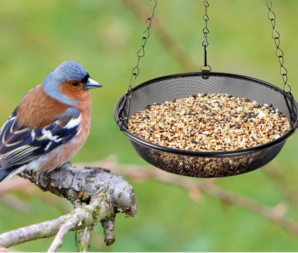HH-LIFE 2 pcs Metal Mesh Hanging Bird Feeder Tray Food Platform for Bird Feeders, Outdoor Garden Decoration for Wild Backyard Attracting Birds (Ø21.5cm) - Image 5