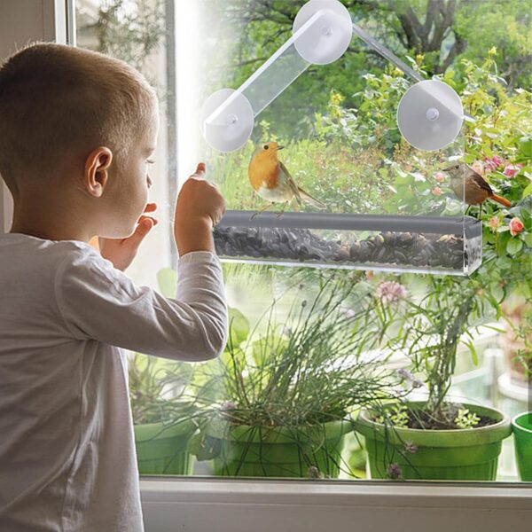 Shudyear Window Bird Feeder, Bird House for Outside with Rubber pad, Small Acrylic Window Bird Feeder with Strong Suction Cups and Drain Holes 6.2 * 2.4 * 6.2 in - Image 4