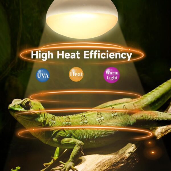 Caldarax 2 Pack Reptile Heat Lamp Bulb 50W, E27 Daylight Basking Spot Bulb, UVA Heat Bulb for Reptiles, Tortoise, Bearded Dragon, Snakes, Lizards, Chicks - Image 2