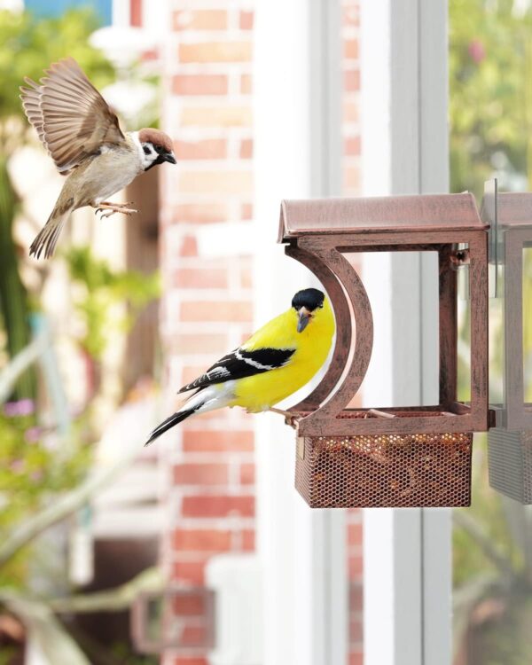 Window Bird Feeder, HouseSapp Sturdy Metal Window Bird Feeder, Window Bird Feeders with Strong Suction Cups, Super Adhesive Sheet×4，Large Outdoor Bird Feeder, Bird Watching Gift, Wild Bird Feeder - Image 8