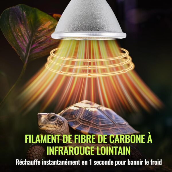Bonlux 100W Heat Bulb for Reptiles,E27 Par30 Infrared Carbon Reptile Heat Lamp Bulb,No Light Reptile Bulb,Tortoise Heat Lamp Basking Bulb for Bearded Dragon,Leopard,Gecko,Chick,Puppy-1Pack - Image 5