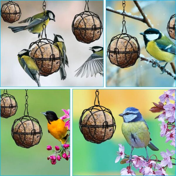 Furado Fat Ball Feeder, 4Pcs Small Hanging Fat Ball Bird Feeder Holder, Hanging Metal Small Bird Feeder for Feeding Outdoor Garden Wildlife Birds, Bird Feeders Hanging Station for Small Wildlife Birds - Image 7