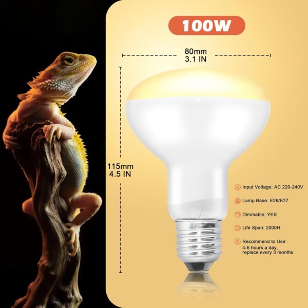 2 Pack 100W Reptile Heat Lamp Bulb E27 Tortoise Basking Light Bulb Dimmable UVA+UVB Daylight Heating Bulb for Vivarium/Lizards/Bearded Dragon/Snakes/Puppies/Chicks/Amphibian - Image 5