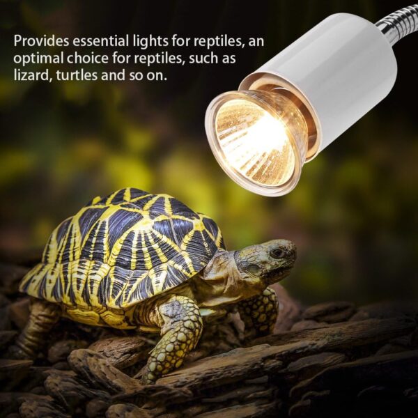 1pc New 25W/50W 220-240V Heating Light Sunbathe Heat Lamp Aquarium Heat Lamp Accessory for Reptile Lizard Turtles(25W) - Image 4
