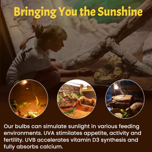 Klarlight 50W E27 Reptile Heating Bulb Dimmable, UVA UVB Light Bulb Full Spectrum Basking Bulb, Tortoise Heat Lamp for Lizard Spider Frog Snake Turtle Chameleon Aquarium Reptile and Amphibian (4-Pack) - Image 4