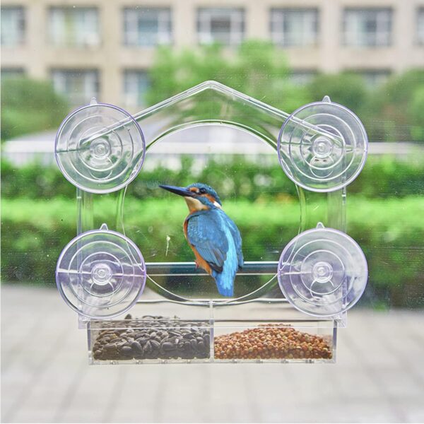 Window Bird Feeder with Drainage Holes Strong Suction Cups Acrylic Clear Wild Bird Feeder House Bird Seed Feeders Windowsill Birdfeeders for Garden Outdoor Backyard Wildlife Little Birds Watching - Image 3