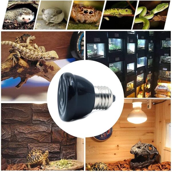 ANCLLO E27 Bulb Far Infrared Ceramic Pet Heating Lamp for Lizard Fruit Spider Reptile Box Warmer Bulbs 100W - Image 7