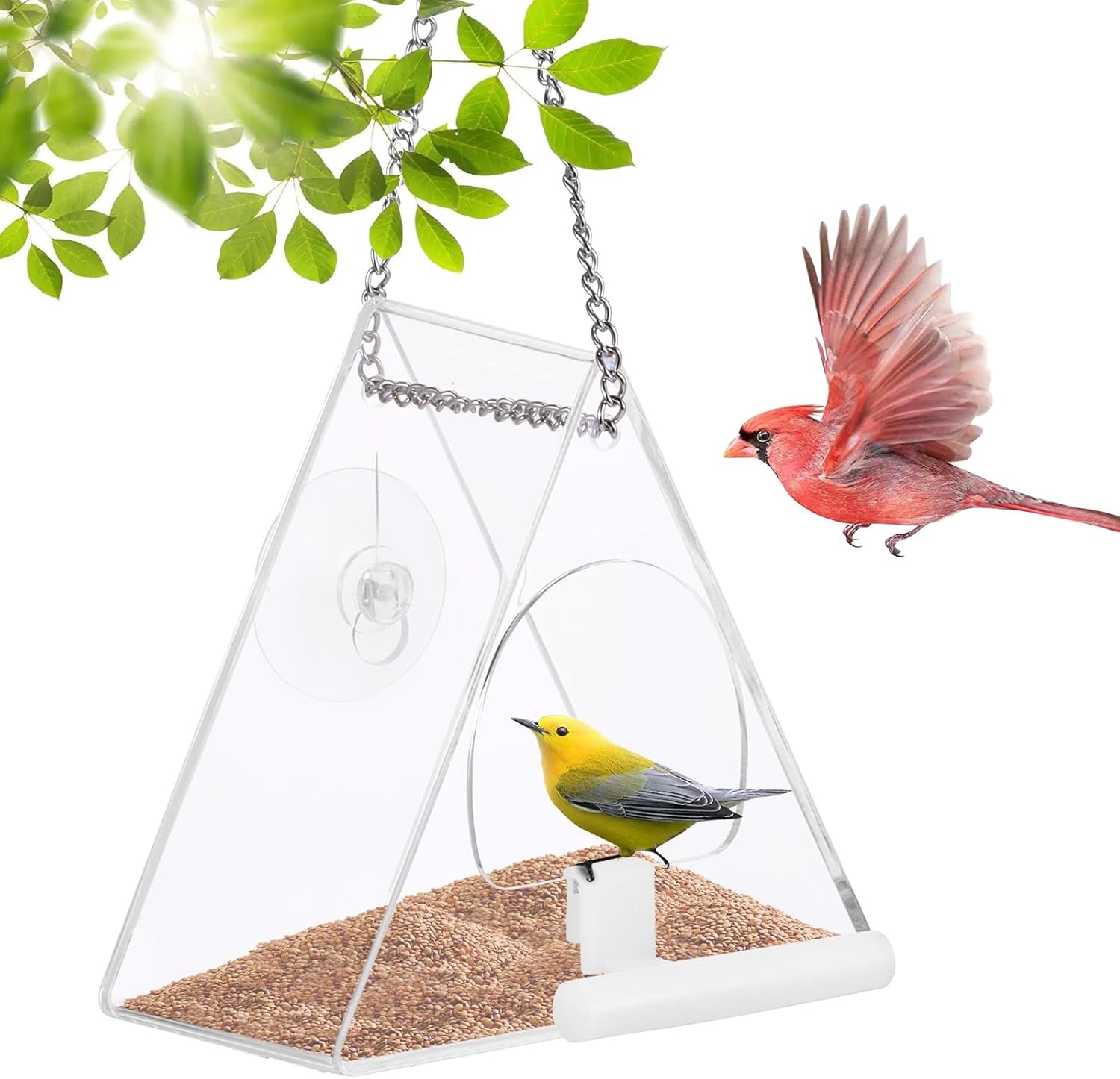 Palmcee Clear Window Bird Feeder, Hanging Wall Fence Tree Mounted Off-Ground Outdoor Garden Wild Feeding Food Station, Bird Window Feeder with Suction Cup and Drain Hole for Small Birds - Image 2