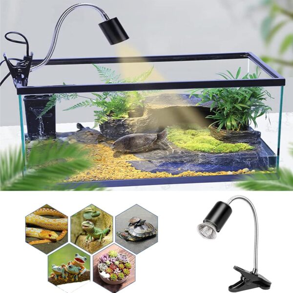 Tortoise Heat Lamp Basking Lamp, 2 Bulb 25W 50 W UVA UVB Light Lamp, Heat Spotlight Reptile Light Aquarium Basking Light with Holder for Tortoise Bell Turtle Snake Lizards Terrarium Amphibian - Image 5