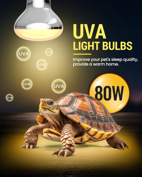 TobeBright UV Basking Lamp B22, 80 Watt Reptile Heat Lamp, UVB UVA Daylight Spot Bulb R63, Provides Heat, Light & UV for Reptile and Amphibian, AC220-240V, 1 Pack - Image 3