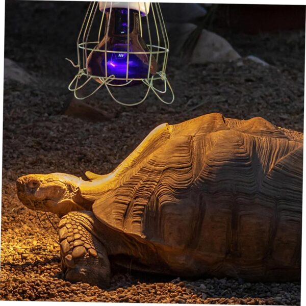 Yardwe 3pcs Box -scalding Wire Lamp Cover Reptile Heater Lamp Shade Heating Lamp Mesh Cover Turtle Heat Lamp Cover Reptile Heating Lamp Holder Lizard Lampshade Cover Animals Iron Wire - Image 2