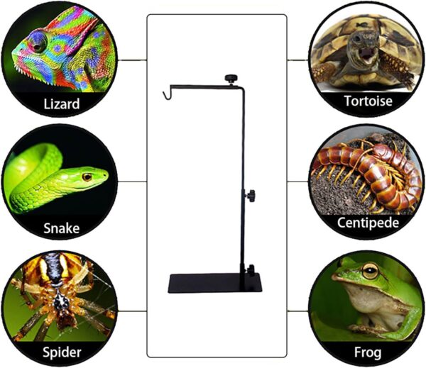 Gomice Heat Lamp Stand for Reptiles - Reptile Heat Lamp Stand to Stabilize Hanging Lamps | Reptile Lamp Stand Lamp Support for Reptile Succulent Plants Glass Terrarium Heating Light - Image 5