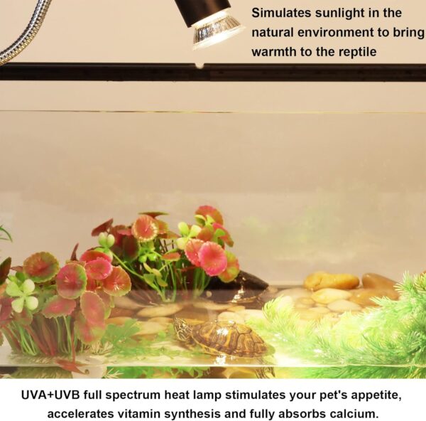 AIICIOO Reptile Heating Light Bulb UVA UVB Full Spectrum Sun Lamp Halogen Turtle Heating Lamp Adjustable Light for Lizard Tortoise Spider Snake 50W 4 Pack E27 - Image 4