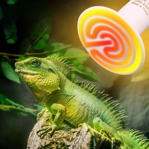 DERNORD Ceramic Heat Emitter 150W - E27 Vivarium Ceramic Heat Lamp Light Bulb for Reptile Bearded Dragon Lizard Snake Outside Tortoise Brooder White - Image 6