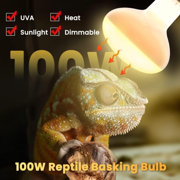 Luxvista 2Pack 100W Reptile Heat Lamp Bulb, E27 Basking Bulb, Warm White Light Heat Bulb, Dimmable Heat Lamp for Puppies/Reptiles/Lizards/Tortoise/Chicks/Amphibian/Bearded Dragon - Image 2