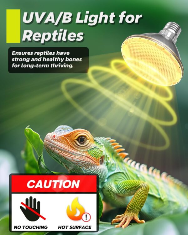 TobeBright 75W Reptile Heat Lamp Bulb,UVB UVA Basking Bulb E27 Dimmable,PAR30 Tortoise Heat Lamp,UV Heat Bulb for Vivarium Bearded Dragon,Lizard,Chick,Puppy - Image 4