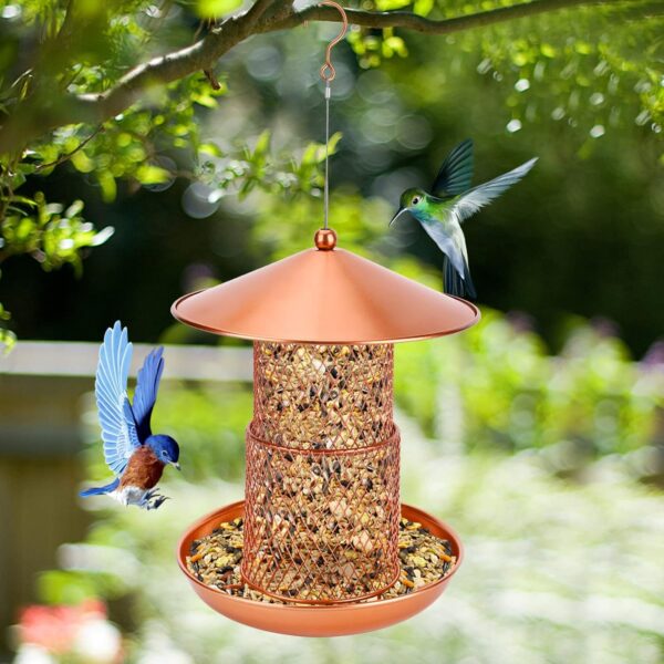 Bird Feeders, Hanging Metal Bird Seed Feeder Heavy Duty Mesh Squirrel Proof Wild Bird Feeder Staton Anti-rust Coating Nut Feeder with Rain Dome for Mix Seed Blends Sunflower - Image 6