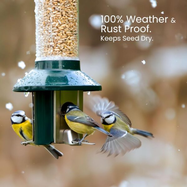 Squirrel Proof Wild Bird Feeder 2l Capacity - Roamwild PestOff 2.0 (Mixed Seed/Sunflower Heart Feeder) - Image 7