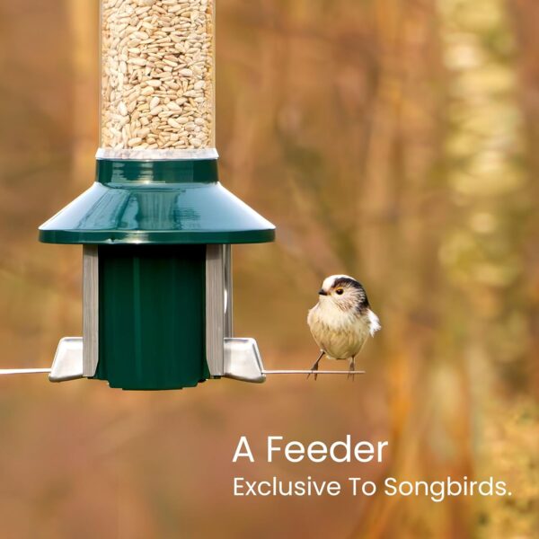 Squirrel Proof Wild Bird Feeder 2l Capacity - Roamwild PestOff 2.0 (Mixed Seed/Sunflower Heart Feeder) - Image 4