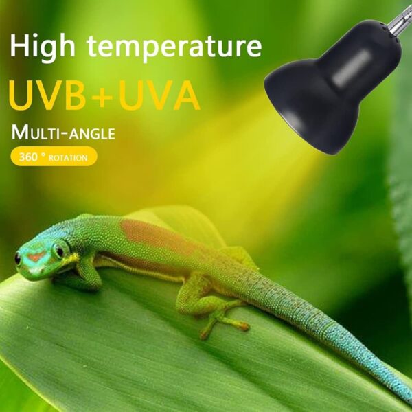 Petyoung Reptile Turtle Heat Lamp with 75W Bulb, UVA UVB Basking Light with Timer Dimmable Switch for Reptile/Lizards/Snakes/Tortoise/Chicken - Image 5
