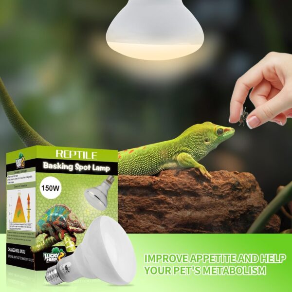 LUCKY HERP 150W Reptile Heat Bulb, Basking Spot Heat Lamp for Reptiles,Vivarium Light for Amphibian, Chicks, Dog Heating Use - Image 3