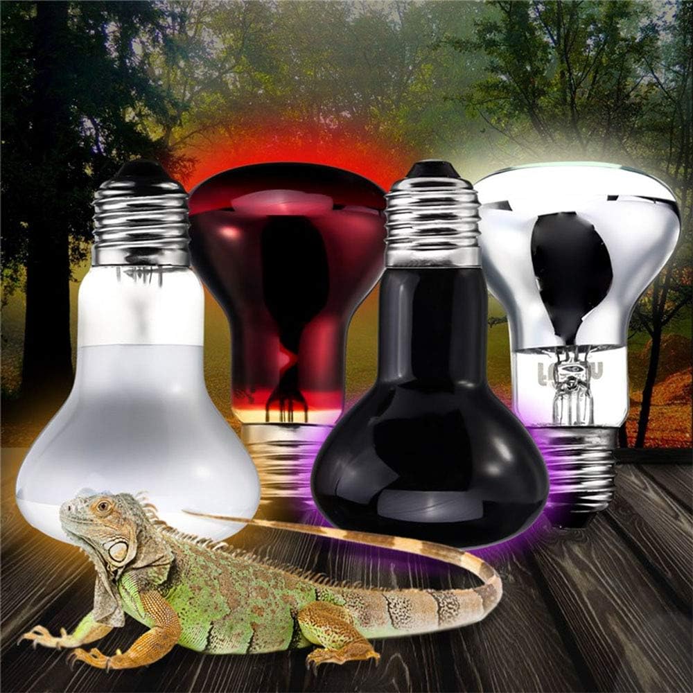 POFET 2pcs Reptile Heating Bulbs, Durable Infrared Heat Lamp Warming Light Bulb White Pet Light for Reptile and Amphibian Lizard Tortoise Spider Snake Chameleon 220-240V(75W) - Image 4