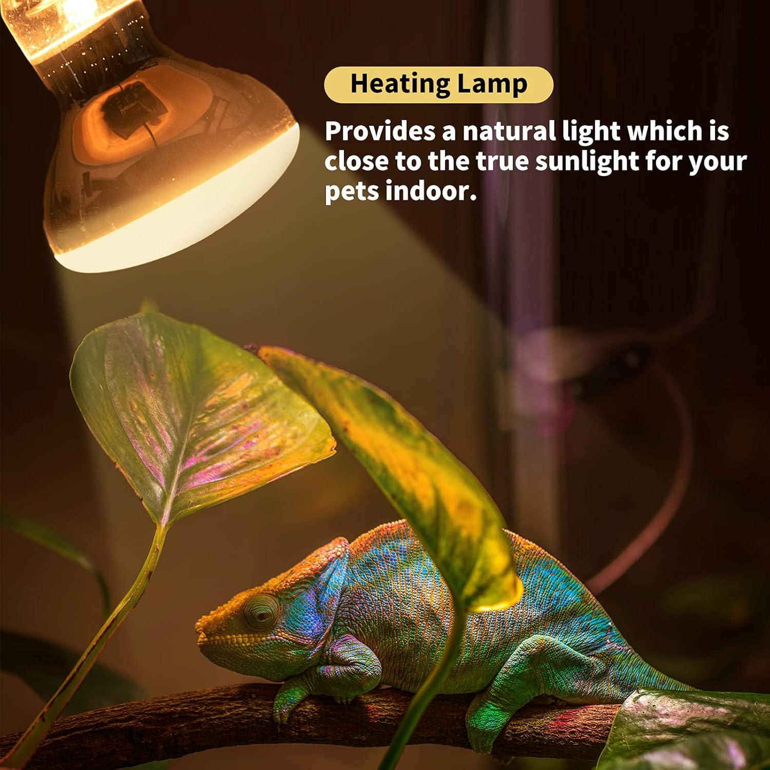 DoRight E27 Reptile Heating Lamp Bulb 50W, Dimmable UVA Light Backlight, Basking Light, Heating Light Bulb, for Chick Bearded Dragon, Lizard, Tortoise, Hedgehogs Reptiles & Amphibians - Image 5
