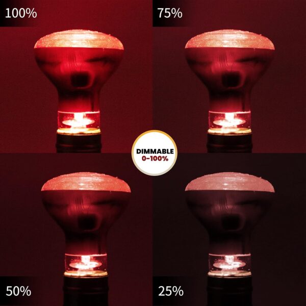 DoRight E27 Reptile Infrared Night Heating Bulb 50W Dimmable Backlight, Infrared Heat Lamp, Basking Spot Light Bulb, for Bearded Dragon, Lizard, Tortoise, Reptiles & Amphibians - Image 4