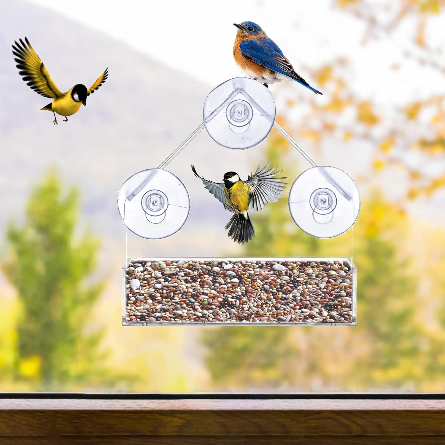 Lifreer Window Bird Feeder with Strong Suction Cups Plastic Wild Bird Feeder House Clear Bird Seed Feeders for Garden Outdoor - Image 6