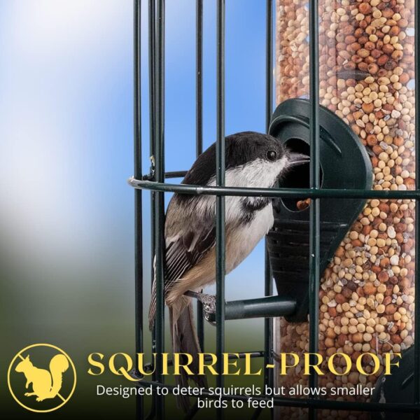 garden mile Wild Bird Feeders for Seeds, Hanging from Trees, Decking or Bird Food Stations in your Garden Outdoor, Enjoy Watching Birds Feeding Wonderful Wildlife and Nature (Caged Feeder) - Image 8