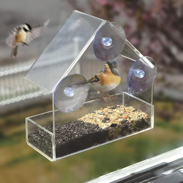 2 Pack Window Bird Feeder, Bird House for Outside with Strong Suction Cups, Acrylic Bird Feeder House for Outdoor for Feeding Small Birds, Small Wall Mounted Bird Feeders for Birds Only - Image 6