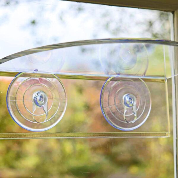 Bird Feeder Suction Cups, Replacement of Bird Feeder Suction Cups, Bird Feeder Window Suction Cups（6pcs） (6) - Image 4