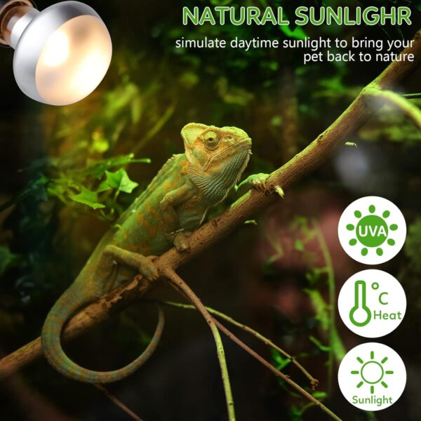 IOOTSEA 2 pcs Intense Basking Spot, Reptile Heat Lamp Terrarium Heater Light Bulb Socket E27 for Animals, Dimmable Daylight Bulb Sun Glow Lamp Turtles, Lizards (75, watt_Hours) - Image 5