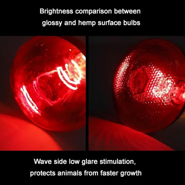 51buyoutgo 200W Thickened Infrared Heat Lamp Bulb for Puppies Reptiles Chicks Tortoise Poultry, Puppy Reptile Heat Lamp, Ceramic Chicken Reptile Tortoise Basking Heat Lamp Bulb Red - Image 6