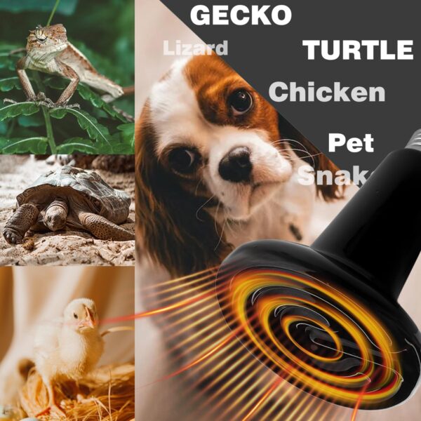 MBMYUCKY Reptile Heat Lamp Bulb - Ceramic Heat Emitter for Outside Dog House Tortoise Gecko E27 Bulb for Poultry Hamster Hedgehoge Bird Cage Heater (150Watt 2Pack) - Image 6