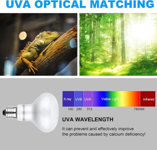 vsshe Basking Spot Lamp, 2 Pack 50W Reptile Heat Bulb, Tortoise Heat Lamp, Natural Light Basking Bulb Light Heat Lamp for Reptiles, Amphibian, Chicks, Puppies Heating Use (White) - Image 3