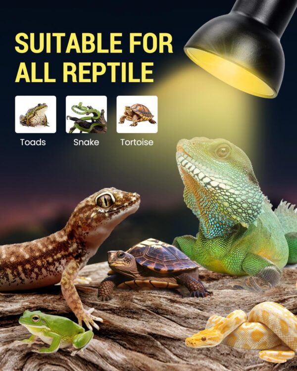 TobeBright UV Basking Lamp B22, 80 Watt Reptile Heat Lamp, UVB UVA Daylight Spot Bulb R63, Provides Heat, Light & UV for Reptile and Amphibian, AC220-240V, 1 Pack - Image 6