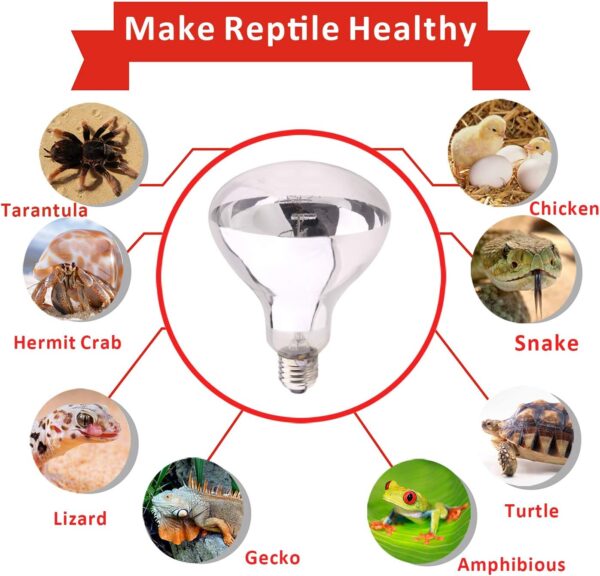 AIICIOO UVB UVA Reptile Heating Lamp D3 Simulate Sunlight Self-Ballasted Basking Bulb for Amphibian Promote Pets Calcium Absorption E27 125W - Image 6