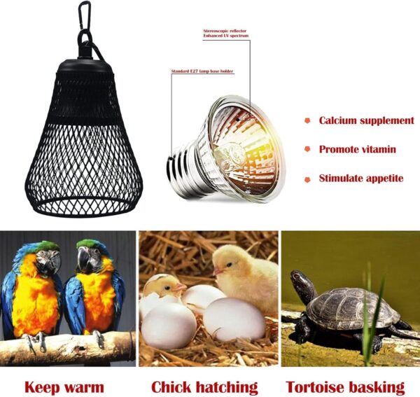 QIODAZOO UVA UVB Tortoise Heat Lamp, Heat Bulb 50W for Reptiles Turtle Chicks Snakes, Temperature Diming Timed Adjustable Terrarium Heat Lamps Holder - Image 2