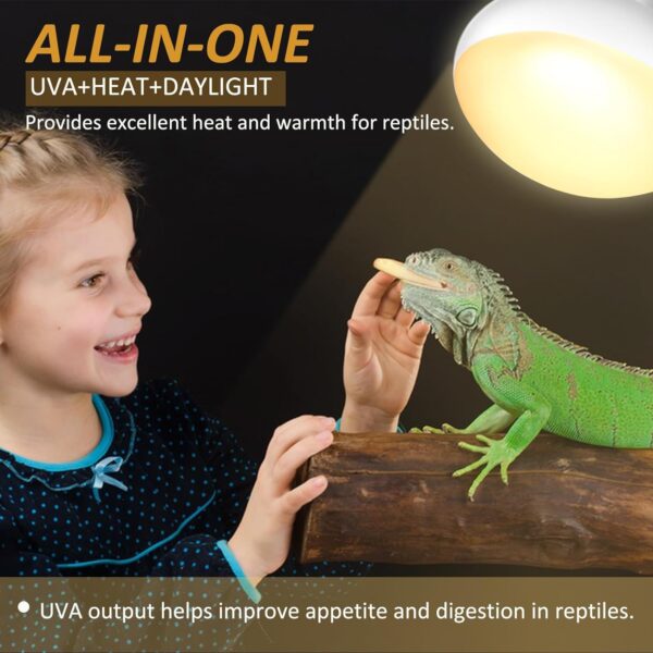 Caldarax 2 Pack Reptile Heat Lamp Bulb 50W, E27 Daylight Basking Spot Bulb, UVA Heat Bulb for Reptiles, Tortoise, Bearded Dragon, Snakes, Lizards, Chicks - Image 3