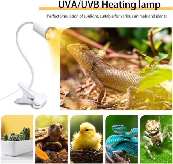 Tortoise Heat Lamp UVA UVB Reptile Heat Lamp Basking Lamp with Ceramic Bulb Holder Terrarium Heat Lamp with Clip Turtle Tank Accessories Tortoise Light 360°Flexible Aquarium Heating Light for Lizard - Image 6