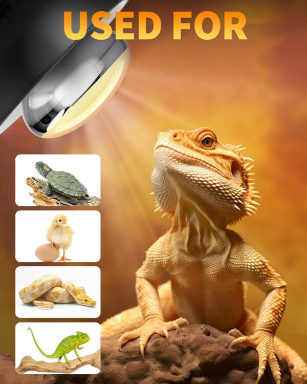 TobeBright UV D3 Basking Lamp Bulb E27 160W - UVB UVA Solar Basking Floodlight - Reptile Heat Lamp AC 220V - 240V, Provides Heat, Light and UV Bulbs, 900LM, 1 Pieces - Image 6