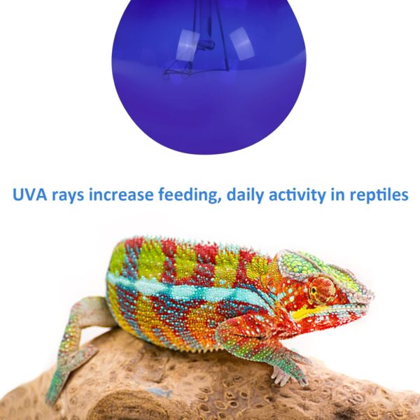 AIICIOO Daylight Blue Reptile Lamp UVA Heating Bulb E27 Reptile Heating Light for Turtles Lizards Snakes Bearded Dragons Frogs 40W 2 Pack - Image 4