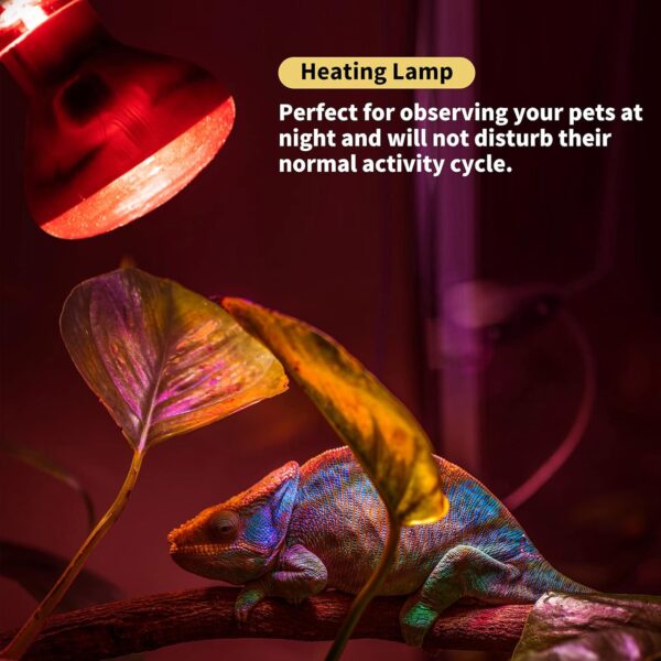 DoRight E27 Reptile Infrared Night Heating Bulb 50W Dimmable Backlight, Infrared Heat Lamp, Basking Spot Light Bulb, for Bearded Dragon, Lizard, Tortoise, Reptiles & Amphibians - Image 2